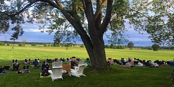 Yoga and Wine at the Vineyard