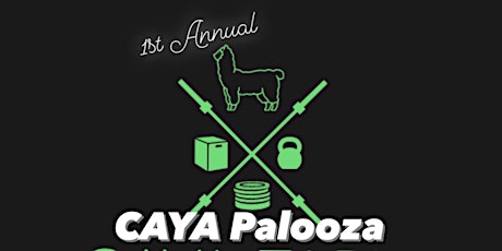 1st Annual CAYA Palooza