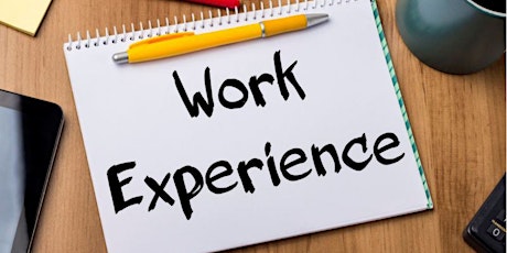 Work Experience Application Form primary image