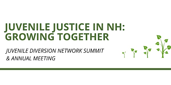NH Juvenile Court Diversion Network Summit and Annual Meeting