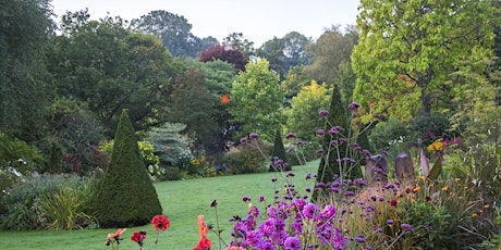 Discover magical gardens in Somerset- Sold out primary image