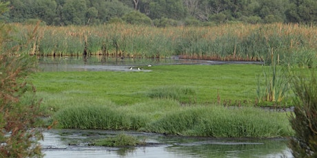 2017 WA Wetland Management Conference: call for registrations primary image