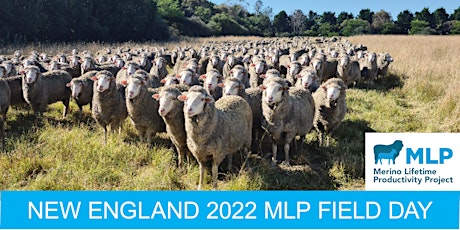 New England 2022 MLP Field Day tickets