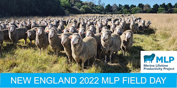 New England 2022 MLP Field Day
