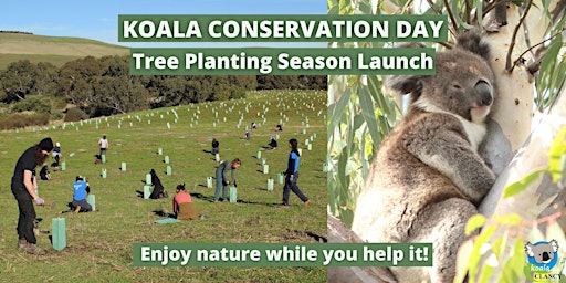 Koala Conservation Day: Tree Planting Launch