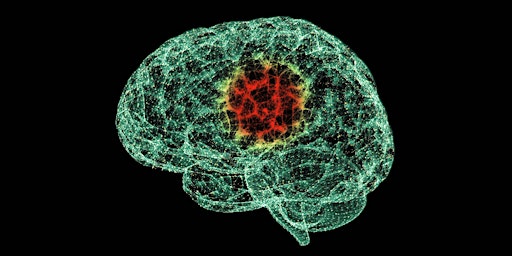 How neuroimaging can help us to understand psychiatric disorders