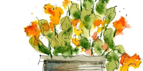 Online  Watercolors Painting Class for Adults and Teens