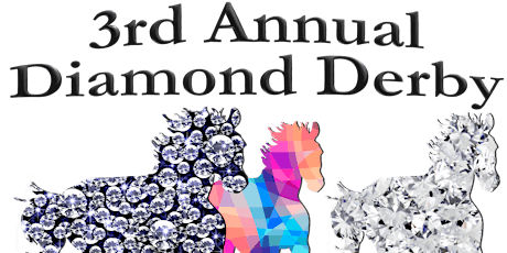 Sponsor Diamond Derby 2017 primary image