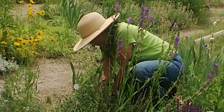 2017 Spring Gardening Symposium - Jump Start Your Garden primary image