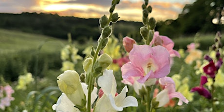 Sunset Yoga in the Flowers with Andrea Caruso - July 28 tickets