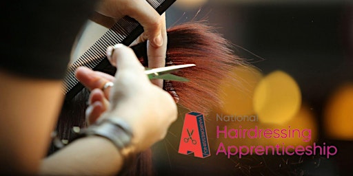 National Hairdressing Apprenticeship - Ennis Employer Engagement