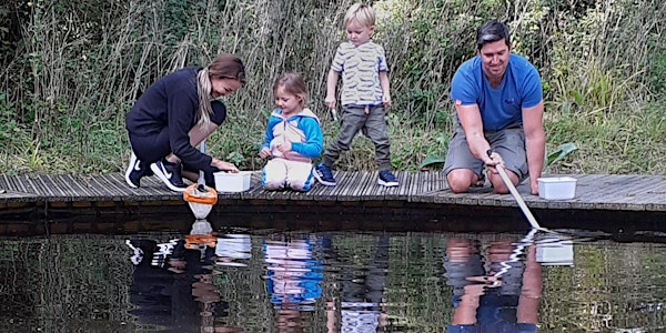 Go Wild, Blashford Lakes...Family Pond Dipping (AFTERNOON SESSION)