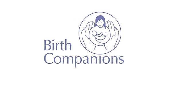 New Insights presented by Birth Companions 