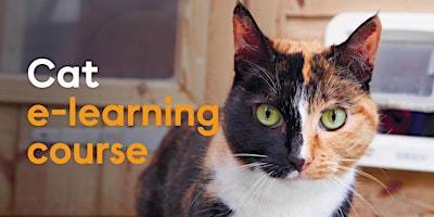 Cat e learning course - self lead