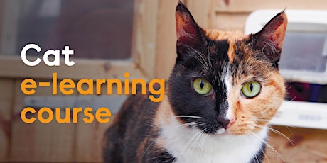 Cat e learning course - self lead tickets