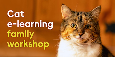 Cat e learning family workshop - Self Led tickets