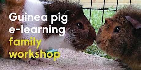Guinea Pig e-learning Family Workshop - Self Led tickets