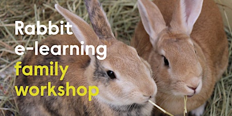 Rabbit e-learning Family Workshop - Self Led tickets