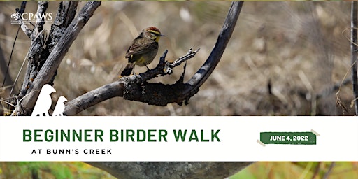 Beginner Birder Walk at Bunn’s Creek