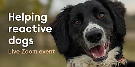 Helping Reactive Dogs - Live Zoom Event biglietti
