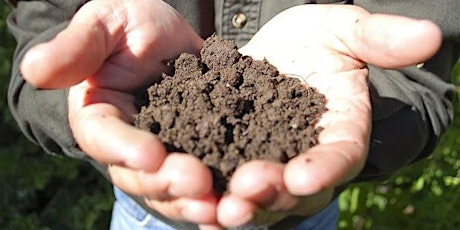 Soil Science and Semantics primary image