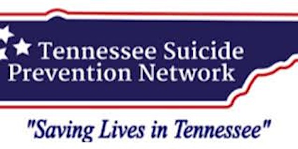 Steps Toward a Safer Tennessee: 2017 TSPN Symposium