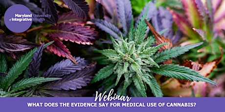 Webinar | What does the Evidence Say for Medical use of Cannabis? tickets