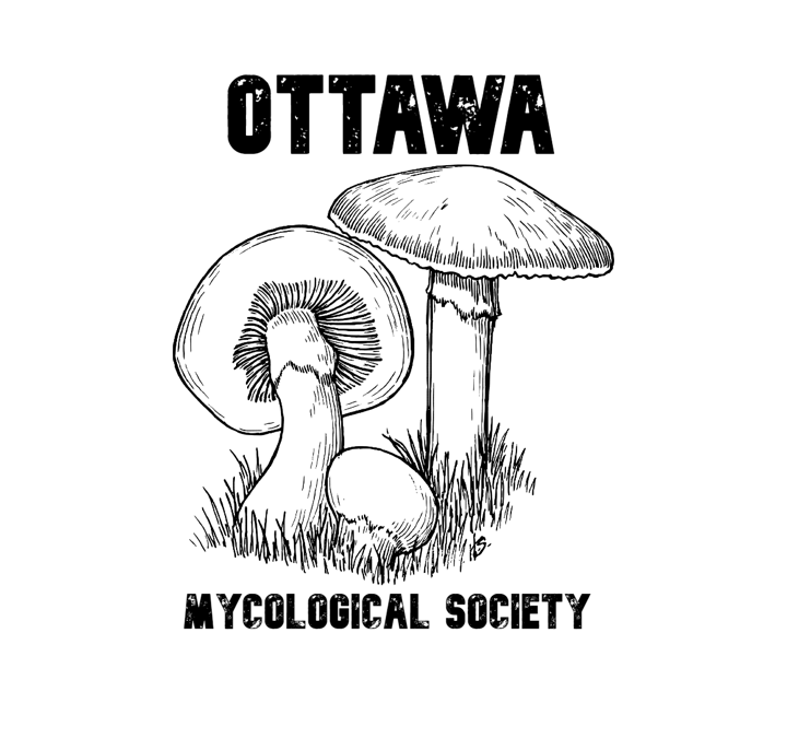 Ottawa Mycological Society Late-September Foray! image