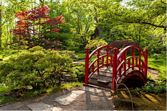 Scenic Japanese Garden in Clingendael Estate The Hague