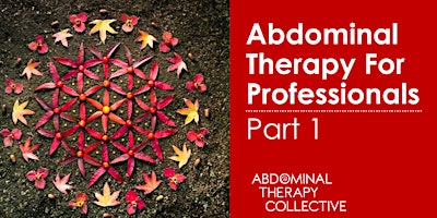 Abdominal Therapy for Professionals~Part 1