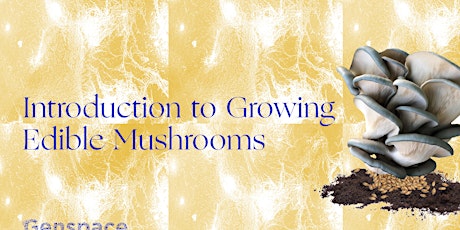 Introduction to Growing Edible Mushrooms