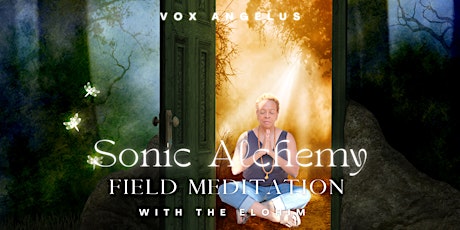 Sonic Alchemy Field Meditation with the Elohim primary image