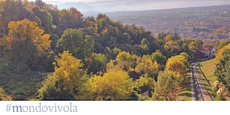 Immagine principale di Visite guidate gratuite al Bosco della Nova | Dal di sotto in su 