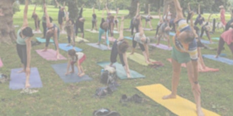 Outdoor Yoga in Prospect Park