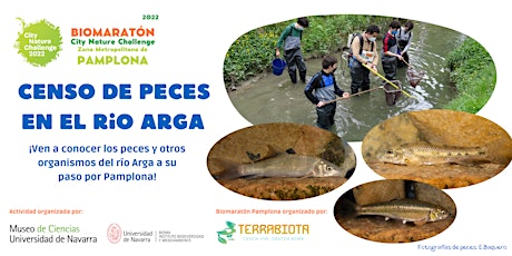 Primaire afbeelding van Censo de Peces en el río Arga - Biomaratón Pamplona/Iruña 2022