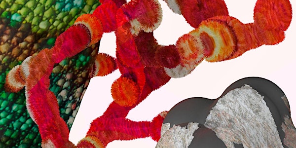 Agents in the Anthropocene: Trans/Disciplinary Practices in Art and Design Education Today