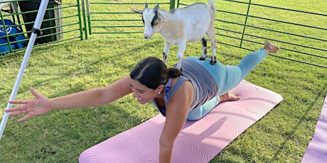 Mother's Day Goat Yoga!  - Sun, May 8 @ 10am