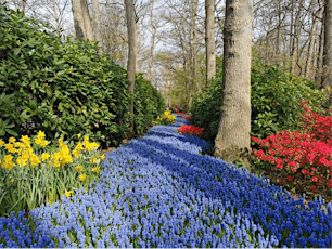 Keukenhof Tulip Gardens: Let's See it All in 2 Hours Extravaganza!