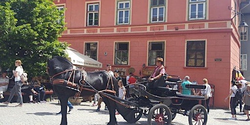 Live Virtual, Guided Horsedrawn Carriage Tour in Transylvania, Romania primary image