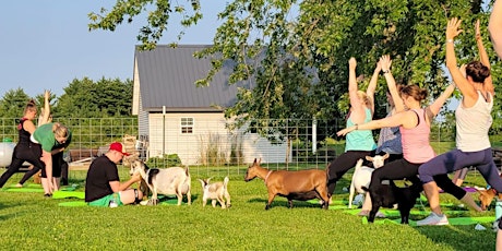 Goat Yoga at Fallin' Pine Farm tickets