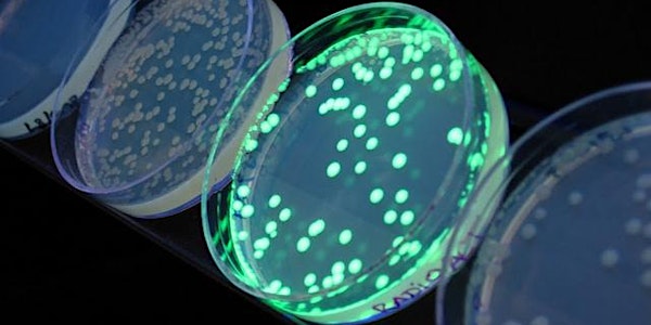 BioHacker Bootcamp - Engineering bacteria to glow