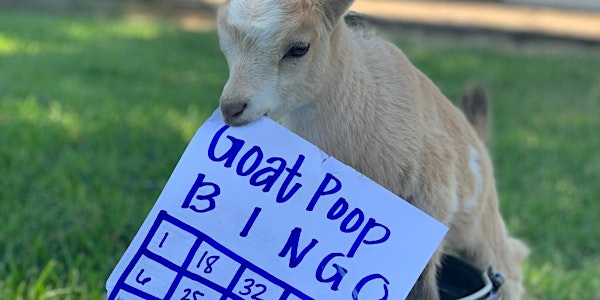 Goat Poop Bingo- Donation Based ONLINE