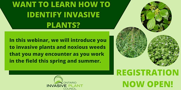 Invasive Plant Introduction