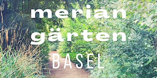 Forest Bathing Walk  - Auszeit in Merian Gärten Basel