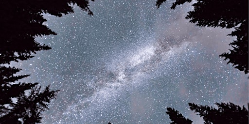 Astronomy Night  primärbild