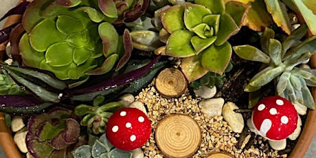 Make your own Fairy Garden 30/04 primary image