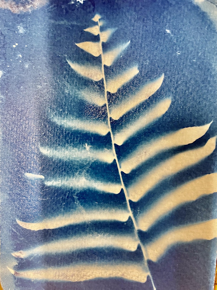 Collecting and Connecting with Cyanotype image