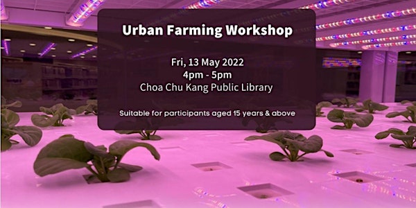 Urban Farming Workshop