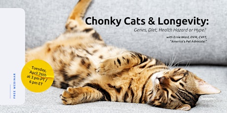 Chonky Cats and Longevity: Genes, Diet, Health Hazard or Hype?