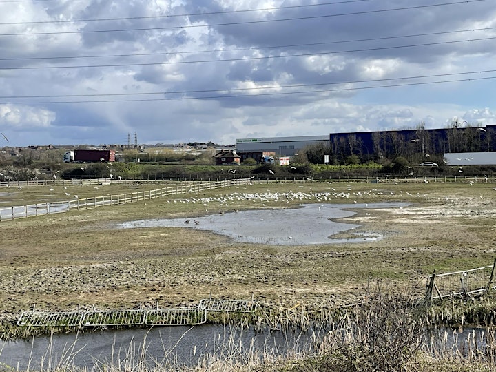 The Isle of Grain to Woolwich Walk Four - Stone Crossing to Slade Green image